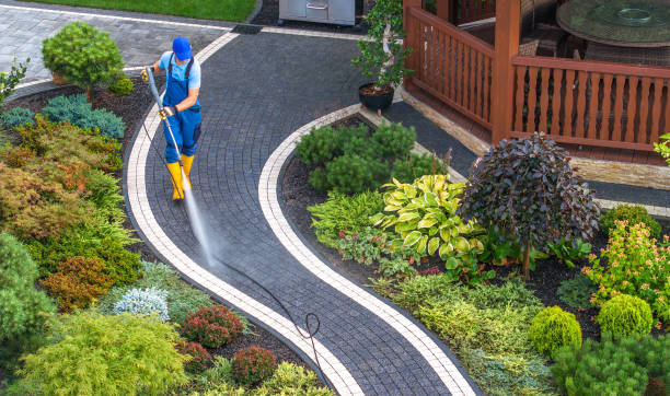 Best Concrete Pressure Washing  in Rtez, CO