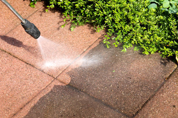Best Sidewalk Pressure Washing  in Rtez, CO